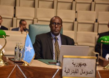 السفير الصومالي في القاهرة يشارك في اجتماع عربي طارئ لبحث حصار وتجويع غزة