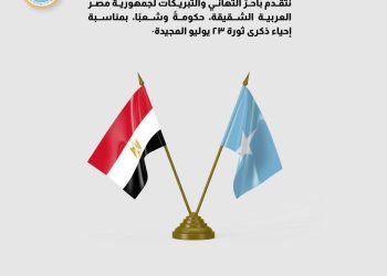 وزير الخارجية الصومالي يهنئ مصر بذكرى ثورة 23 يوليو
