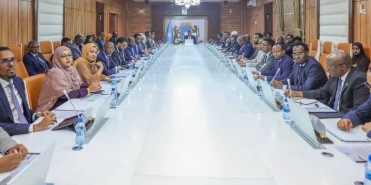 مجلس الوزراء الصومالي يقرّ تشكيل لجنة التعليم العالي