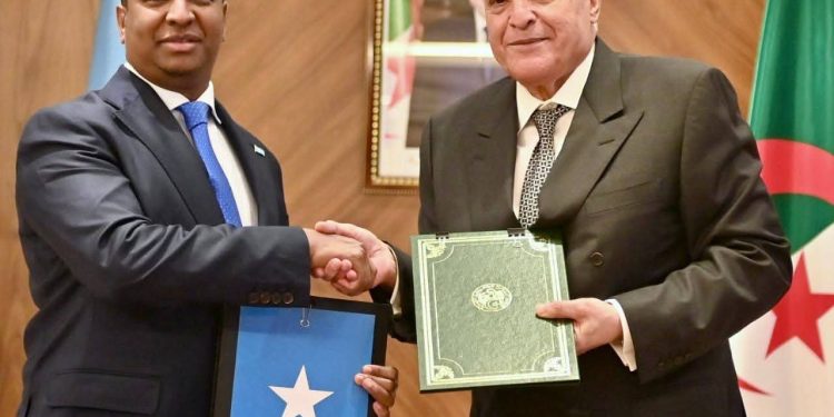 الجزائر والصومال تعززان تعاونهما الثنائي وتوقّعان ثلاث اتفاقيات شراكة