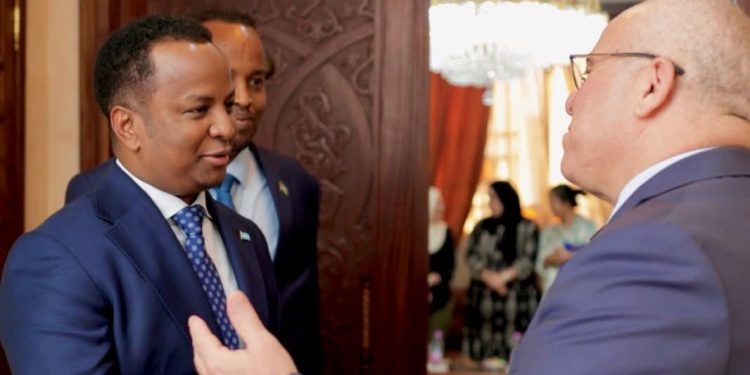 الصومال والجزائر تبحثان سبل تطوير التعاون في قطاع الزراعة والثروة الحيوانية