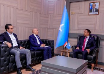 انتهاء فترة عمل السفير المصري في الصومال وسط إشادة رسمية بدوره