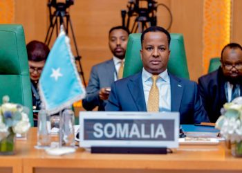 الصومال تدعو إلى تحرك عاجل بشأن غزة