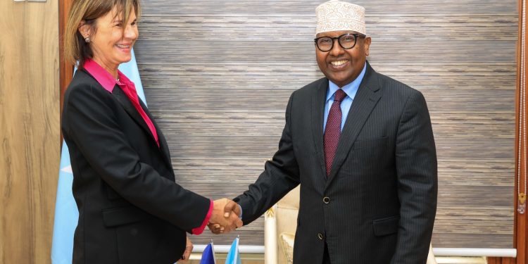 وزير الدفاع الصومالي يبحث مع سفيرة الاتحاد الأوروبي سبل تعزيز التعاون في مجالي الأمن والدفاع