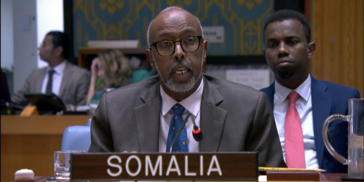 الصومال يعلن تضامنه مع قطر ويؤكد حقها في اتخاذ الإجراءات الضرورية