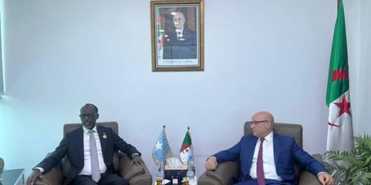 آفاق جديدة للتعاون الاقتصادي والتجاري بين الجزائر والصومال
