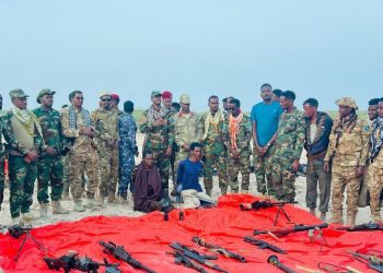 وكالة صونا تكشف تفاصيل المعارك التي أودت بحياة قادة حركة الشباب في عيل طير