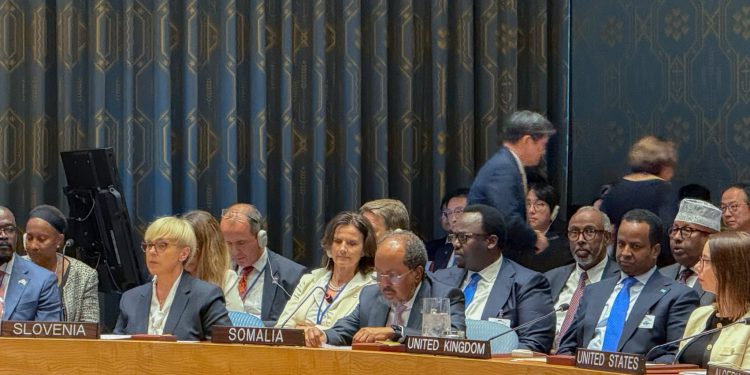الصومال تطالب مجلس الأمن بضمان وصول عادل لتقنيات الذكاء الاصطناعي