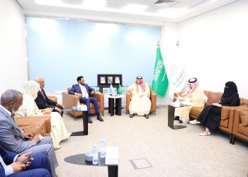 الصومال والسعودية تبحثان تعزيز التعاون المالي والاستثماري