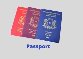 الصومال تتجه لإصدار جواز إلكتروني بخصائص أمنية متطورة