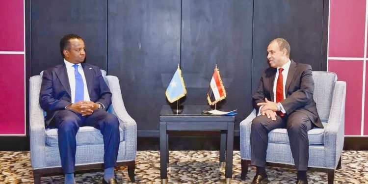 الصومال ومصر  تبحثان سبل التعاون في الأمن والتنمية ومكافحة الإرهاب على هامش منتدى أسوان