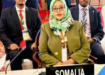 الصومال تؤكد أهمية تعزيز السلام والاستقرار خلال مؤتمر رؤساء البرلمانات في باكستان