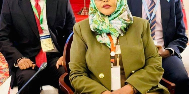 الصومال تؤكد أهمية تعزيز السلام والاستقرار خلال مؤتمر رؤساء البرلمانات في باكستان