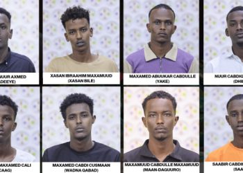 الإعدام والسجن لفريق من المتهمين بقتل مسؤول حكومي وسرقة ممتلكاته