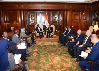 مباحثات مصرية-صومالية حول سبل تعزيز الشراكة ودعم الأمن والاستقرار