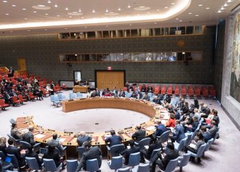 مجلس الأمن الدولي يعقد جلسة طارئة غدا لبحث الاعتراف الإسرائيلي بـ”أرض الصومال”