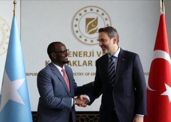 تركيا والصومال يبحثان إمكانات التعاون في مجال الطاقة