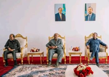 وصول رئيس الصومال ورئيس جيبوتي إلى جغجيغا