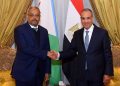 وزيرا خارجية مصر وجيبوتي يبحثان تعزيز العلاقات الثنائية وتطورات الأوضاع في القرن الأفريقي