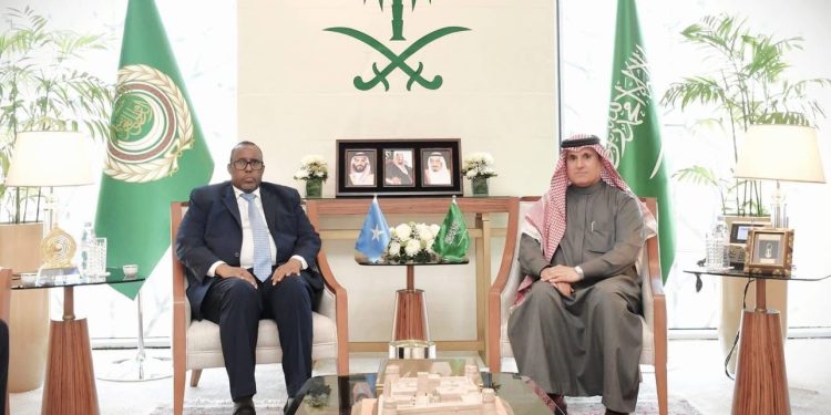 مندوب الصومال بالجامعة العربية يعرب عن شكره للسعودية لدعمها المتواصل لسيادة ووحدة الصومال