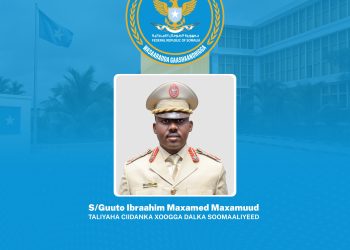 مجلس الوزراء الصومالي يعتمد تعيين العميد إبراهيم محمد محمود قائداً للجيش الوطني