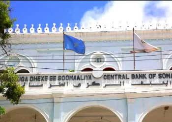 البنك المركزي الصومالي يمنح أول تراخيص لشركات التأمين التكافلي