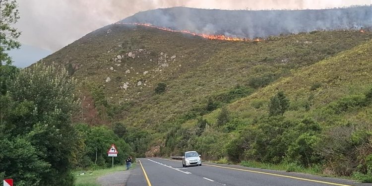 تضرر أكثر من 100 ألف هكتار جراء حرائق غابات في جنوب إفريقيا