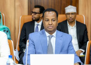 وزير الخارجية الصومالي للجزيرة: لن نسمح بتوطين فلسطينيين على أراضينا