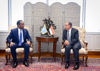 مشاورات مصرية – صومالية لدعم الشراكة الإستراتجية بين البلدين