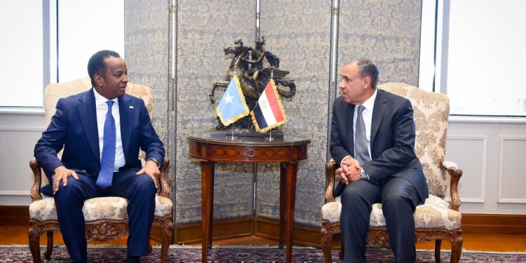 مشاورات مصرية – صومالية لدعم الشراكة الإستراتجية بين البلدين