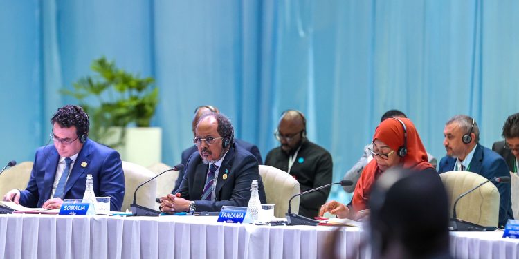 الرئيس الصومالي: لا تنمية دون سيادة ولا استقرار دون شراكات عادلة