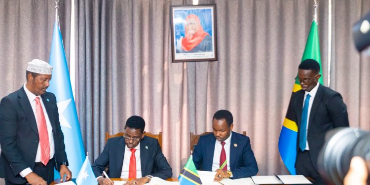 اتفاق صومالي-تنزاني لتسهيل التأشيرات وإعفاء الدبلوماسيين