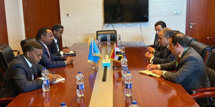 وزير الخارجية المصري يؤكد دعم القاهرة لوحدة وسيادة الصومال ويثمن شراكته الاستراتيجية مع مقديشو
