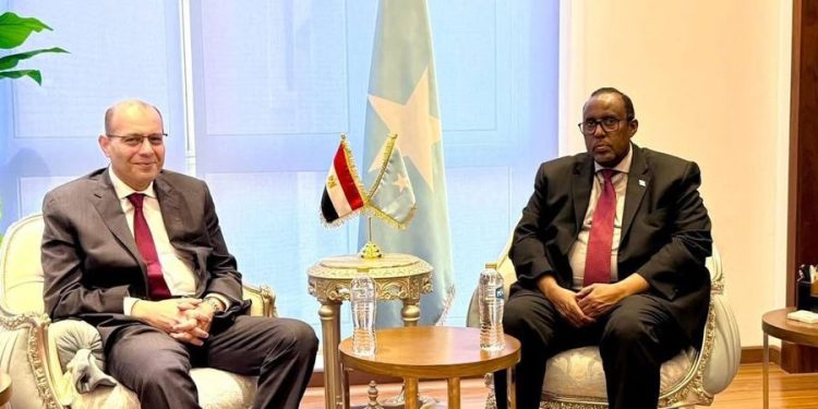 سفير الصومال بالقاهرة يشيد بالدور المصري المحوري في دعم الصومال على المستويين العربي والدولي