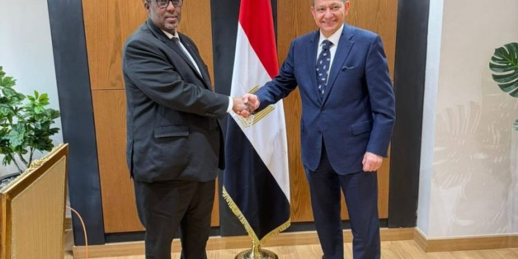 سفير الصومال بالقاهرة يلتقي مساعد وزير الخارجية المصري