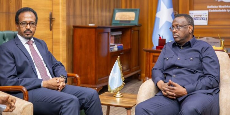 خطط لإنشاء محاكم تجارية متخصصة في الصومال