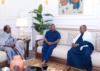 قمة ثلاثية في جيبوتي تجمع قادة الصومال وجيبوتي وإثيوبيا