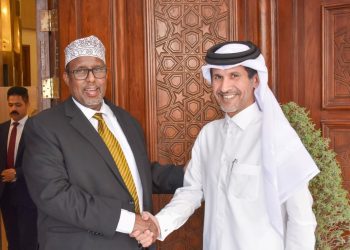 سفير الصومال لدى مصر يبحث مع نظيره القطري تطورات الأوضاع بالمنطقة وسبل تعزيز التعاون المشترك