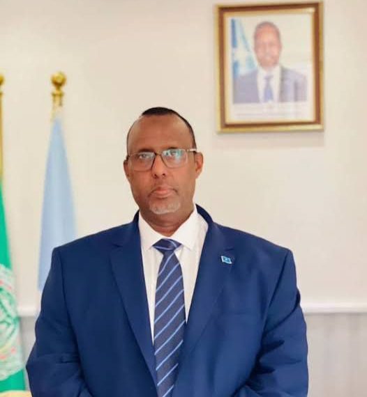 سفير الصومال بالقاهرة يهنئ القيادة المصرية والشعب والقوات المسلحة بمناسبة عيد تحرير سيناء