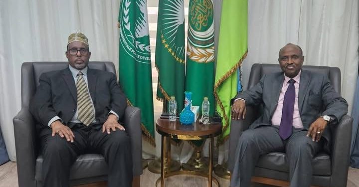 سفير الصومال لدى مصر يبحث مع نظيره الجيبوتي سبل تعزيز الشراكة في القرن الإفريقي