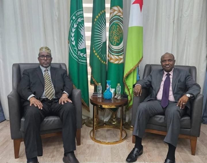 سفير الصومال لدى مصر يبحث مع نظيره الجيبوتي سبل تعزيز الشراكة في القرن الإفريقي