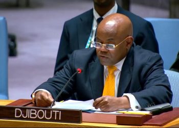 سفير جيبوتي لدى الأمم المتحدة: حرية الملاحة أساس للأمن والاستقرار الدوليين