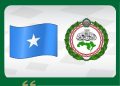 البرلمان العربي يدين تعيين الاحتلال الإسرائيلي مبعوث له بإقليم الشمال الغربي بالصومال ويؤكد على وحدة أراضي الصومال