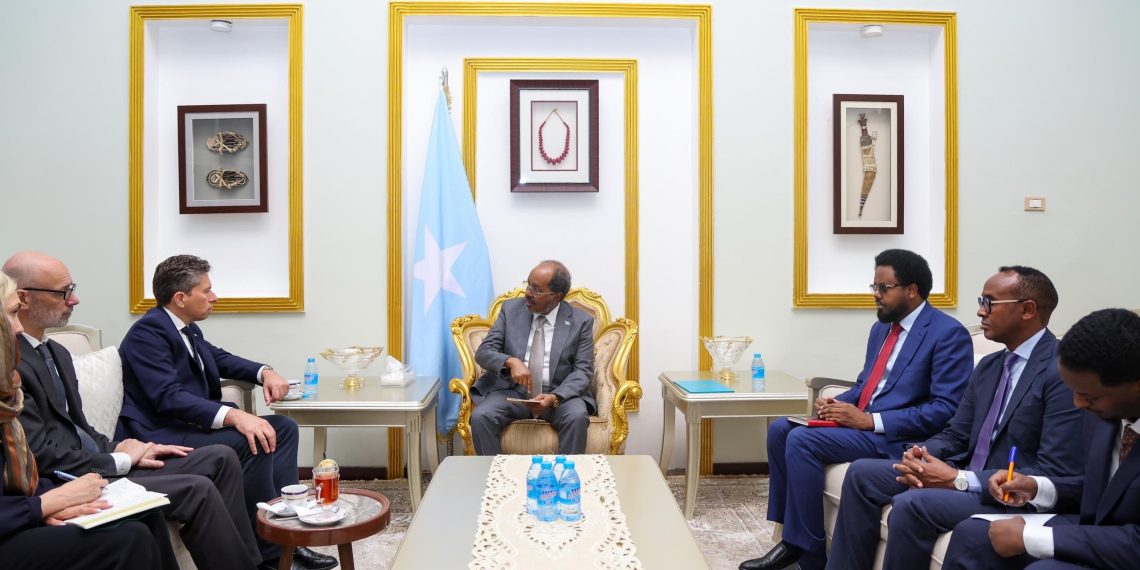 الرئيس الصومالي يبحث مع مسؤول أممي أولويات العمل الإنساني وجهود التعافي