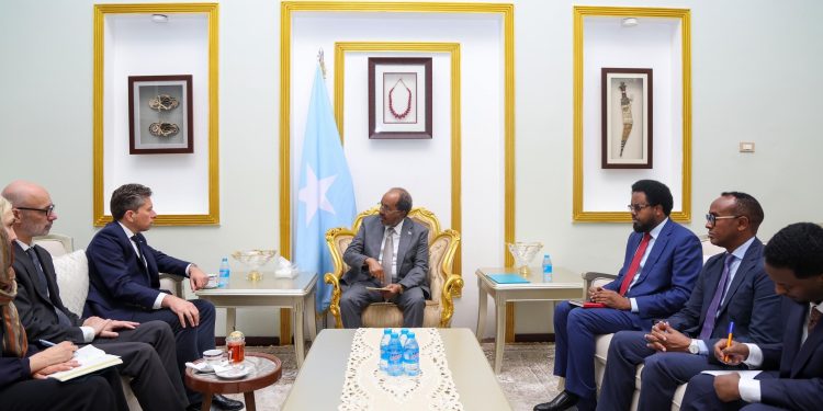 الرئيس الصومالي يبحث مع مسؤول أممي أولويات العمل الإنساني وجهود التعافي