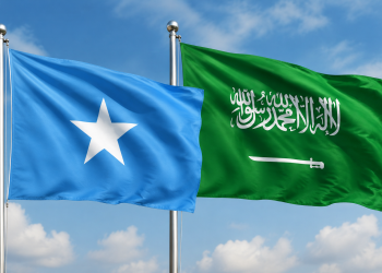 الصومال تدين استهداف المملكة العربية السعودية بطائرات مسيّرة وتؤكد تضامنها الكامل مع الرياض
