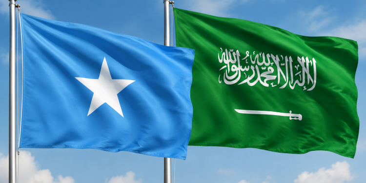 الصومال تدين استهداف المملكة العربية السعودية بطائرات مسيّرة وتؤكد تضامنها الكامل مع الرياض