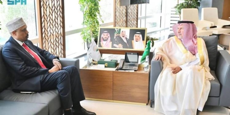 الصومال والسعودية يبحثان تعزيز الشراكة الإنسانية عبر مركز الملك سلمان للإغاثة